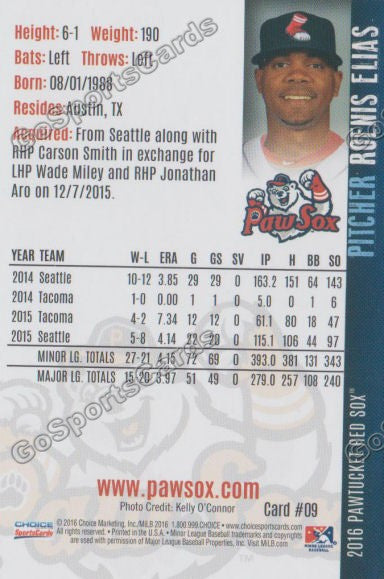 2016 Pawtucket Red Sox Roenis Elias Back of Card