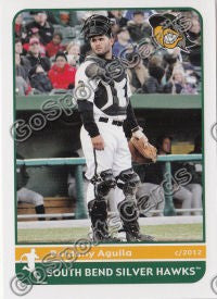 2012 South Bend Silver Hawks Roidany Aguila