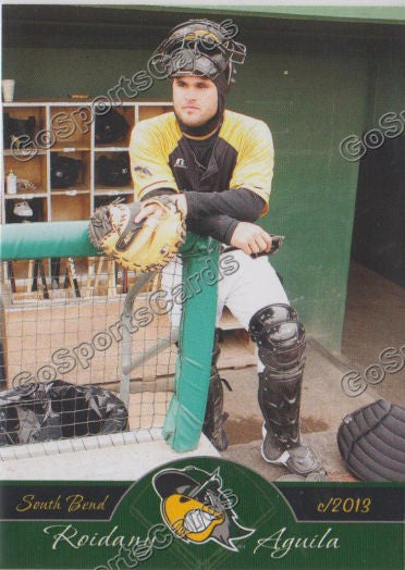 2013 South Bend Silverhawks Roidany Aguila