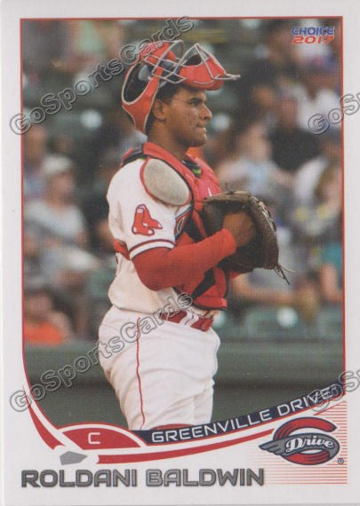 2017 Greenville Drive Roldani Baldwin