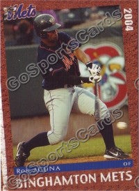 2004 Binghamton Mets Ron Acuna