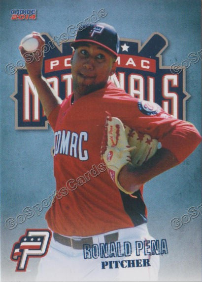 2014 Potomac Nationals Ronald Pena