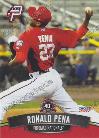 2017 Potomac Nationals Ronald Pena