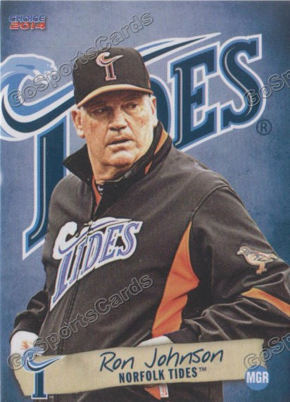 2014 Norfolk Tides Ron Johnson