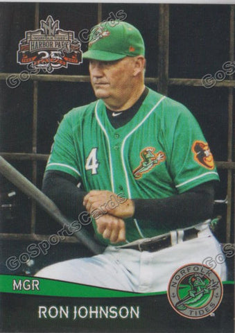 2017 Norfolk Tides Ron Johnson