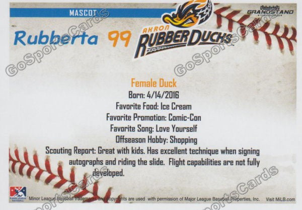 2016 Akron Aeros Rubberta Mascot Back of Card