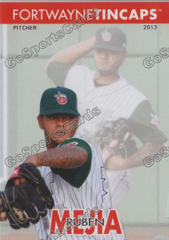 2013 Fort Wayne TinCaps Ruben Mejia