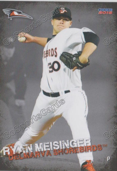2016 Delmarva Shorebirds Ryan Meisinger