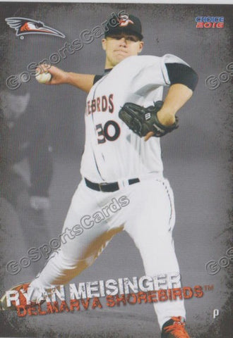 2016 Delmarva Shorebirds Ryan Meisinger