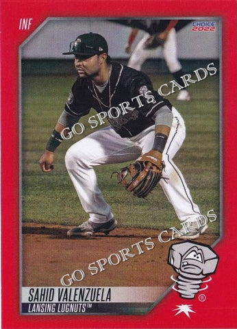 2022 Lansing Lugnuts Sahid Valenzuela