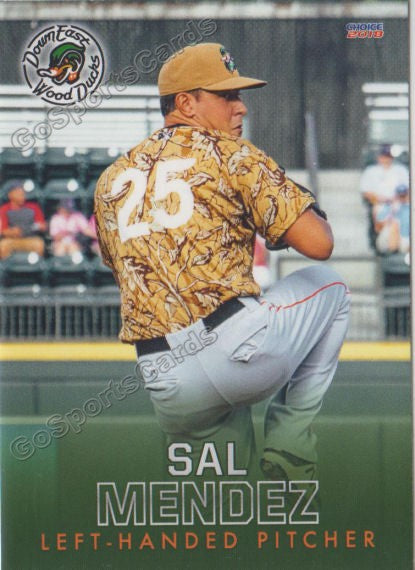 2018 Down East Wood Ducks Sal Mendez
