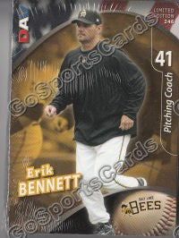 2009 Salt Lake Bees DAV Team Set