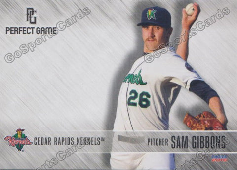 2016 Cedar Rapids Kernels Sam Gibbons