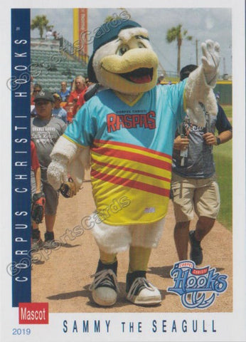 2019 Corpus Christi Hooks Sammy The Seagull Mascot