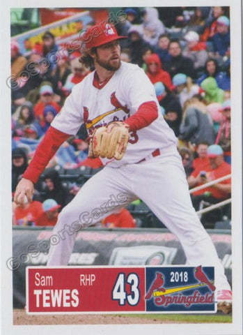 2018 Springfield Cardinals Sam Tewes