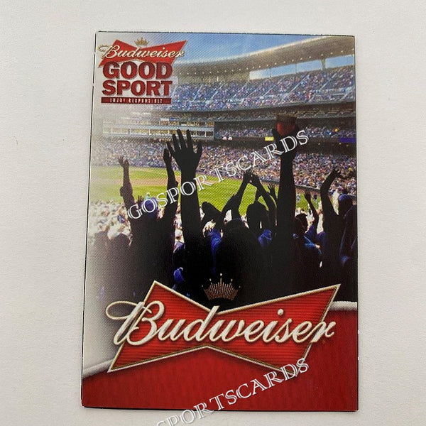 2013 Savannah Sand Gnats Pocket Schedule