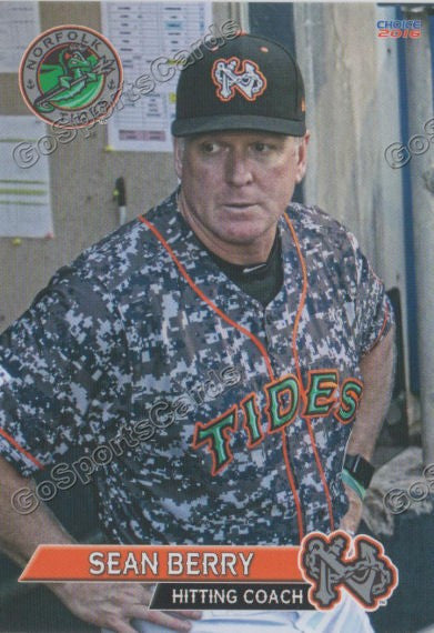 2016 Norfolk Tides Sean Berry