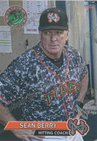 2016 Norfolk Tides Sean Berry