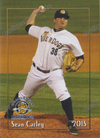 2015 Charleston Riverdogs Sean Carley