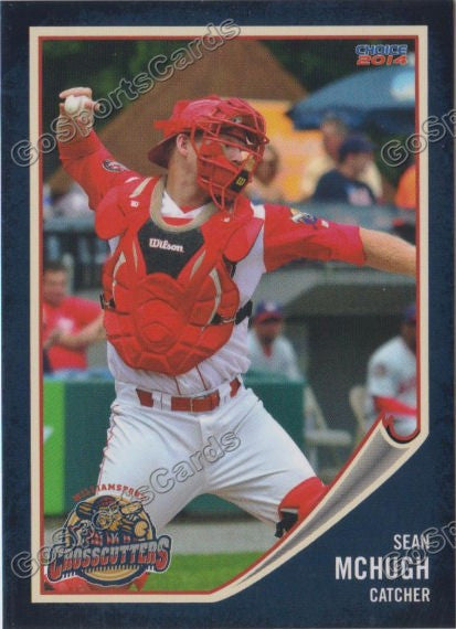 2014 Williamsport Crosscutters Sean McHugh