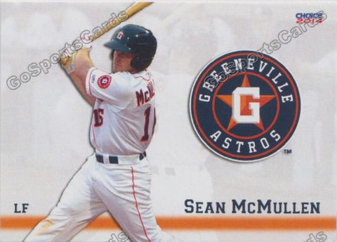 2014 Greeneville Astros Sean McMullen