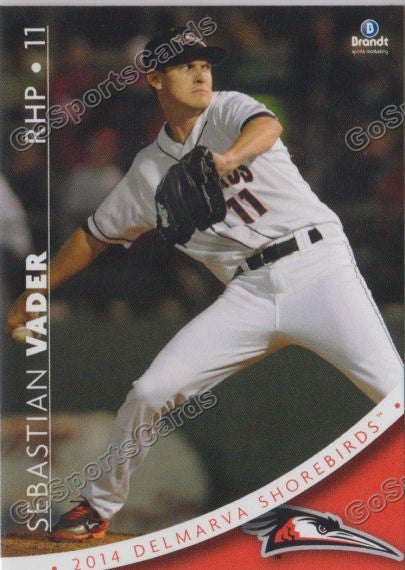 2014 Delmarva Shorebirds Sebastian Vader
