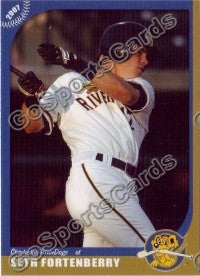 2007 Charleston RiverDogs Seth Fortenberry