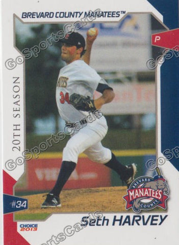 2013 Brevard County Manatees Seth Harvey