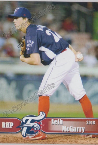 2018 Reading Fightin Phils Seth McGarry