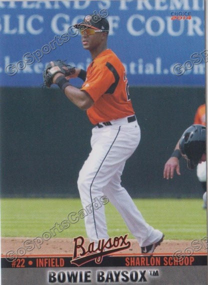 2014 Bowie Baysox Sharlon Schoop