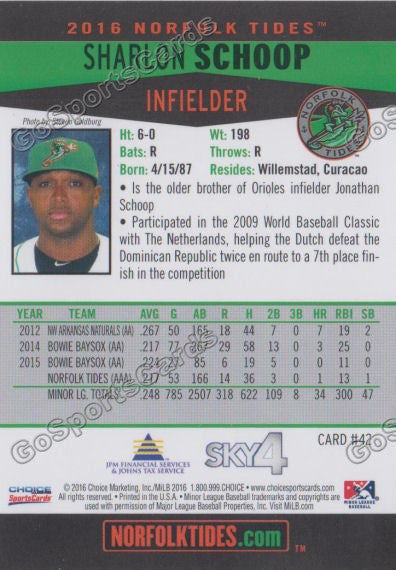 2016 Norfolk Tides Sharlon Schoop Back of Card