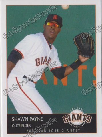 2013 San Jose Giants Shawn Payne