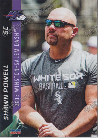 2015 Winston Salem Dash Shawn Powell