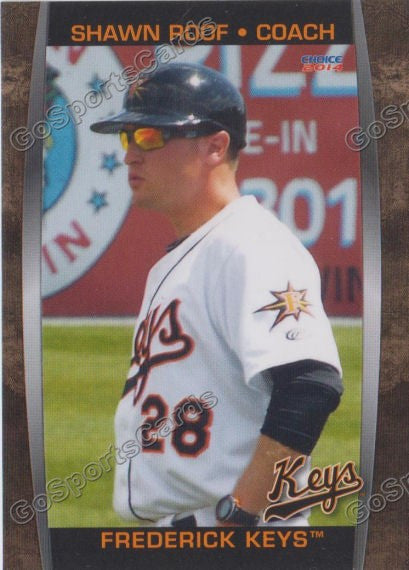 2014 Frederick Keys Shawn Roof