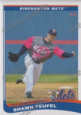 2013 Binghamton Mets Shawn Teufel