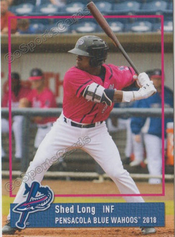 2018 Pensacola Blue Wahoos Shed Long