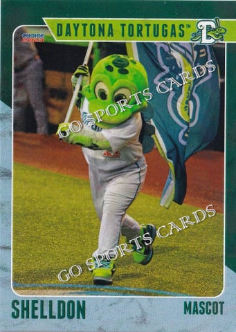 2023 Daytona Tortugas Shelldon Mascot