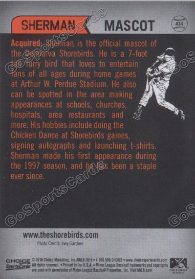 2016 Delmarva Shorebirds Sherman Mascot  Back of Card