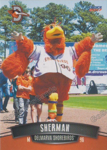 2017 Delmarva Shorebirds Sherman Mascot