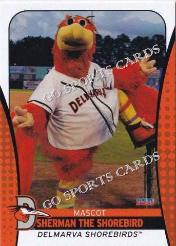 2023 Delmarva Shorebirds Sherman The Shorebird Mascot