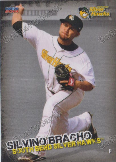 2014 South Bends Silver Hawks Silvino Bracho