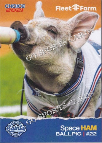 2021 St Paul Saints SGA Space Ham Mascot