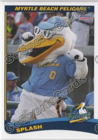 2012 Myrtle Beach Pelicans Splash