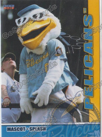 2013 Myrtle Beach Pelicans Splash
