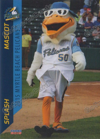 2015 Myrtle Beach Pelicans Splash Mascot