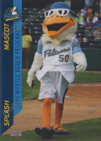 2015 Myrtle Beach Pelicans Splash Mascot