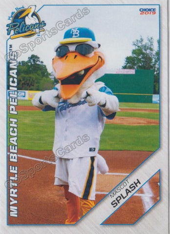 2019 Myrtle Beach Pelicans Splash