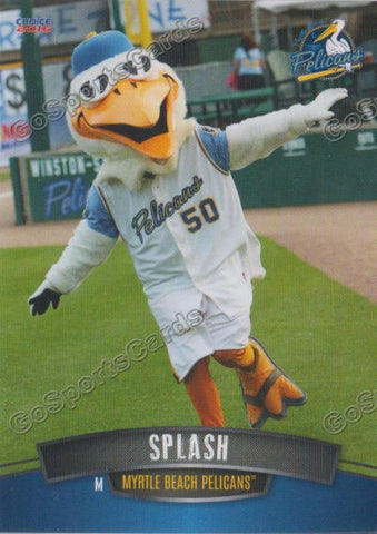 2016 Myrtle Beach Pelicans Splash Mascot