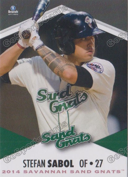 2014 Savannah Sand Gnats Stefan Sabol