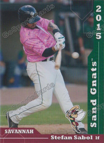 2015 Savannah Sand Gnats Stefan Sabol